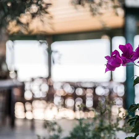 Agrilia Koromili Retreat Διαμέρισμα