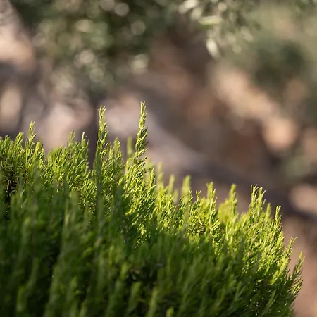 Apartment Agrilia Koromili Retreat *