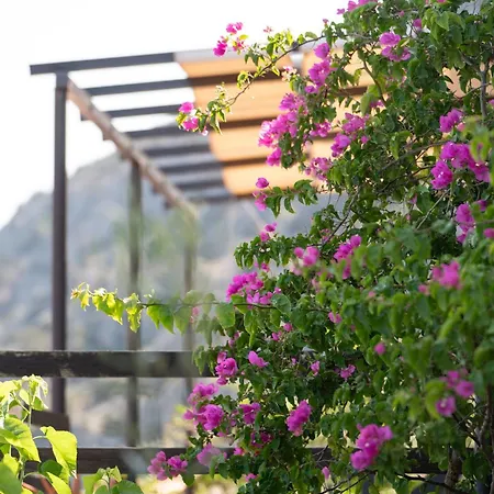 Agrilia Koromili Retreat *